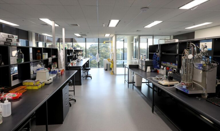 MicroBioGen partners with Lesaffre