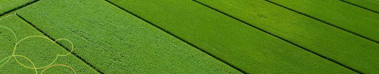 Aerial view of a sugarcane plantation in Australia