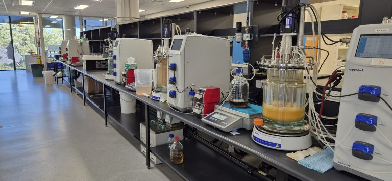 Novonesis to acquire remaining share of MicroBioGen to strengthen yeast capabilities Novonesis has signed an agreement with the intent to acquire MicroBioGen.